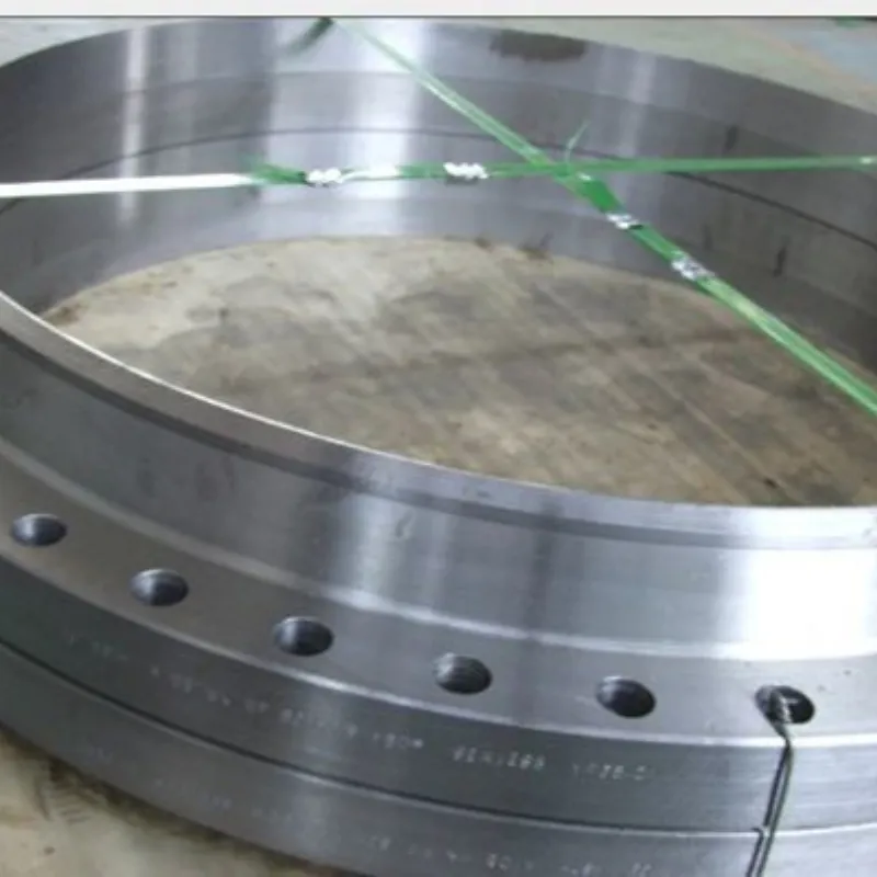 Big Size Flange A105 A266 A694, SA350 Forged Flanges